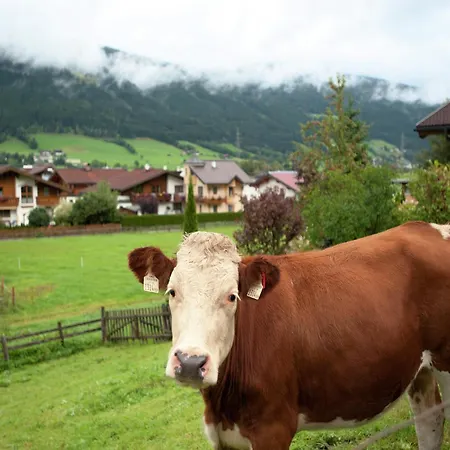 Apartament Near The Area In The Salzburg Region, Cleaning Included Altenmarkt im Pongau